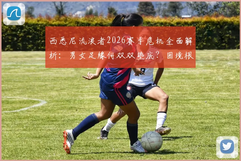 西悉尼流浪者2026赛季危机全面解析:男女足缘何双双垫底?困境根源与重建路径深度探讨
